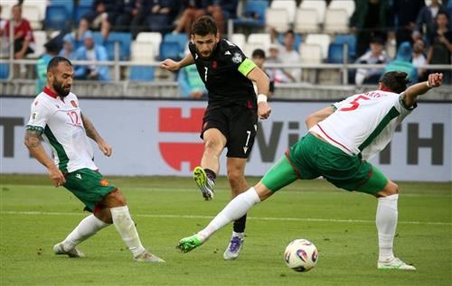 Tigre Casino Theme for Home Remodeling